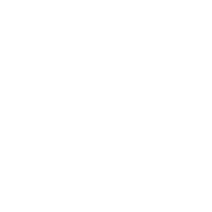 Boro Taxis